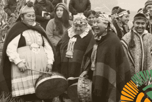 pueblo mapuche